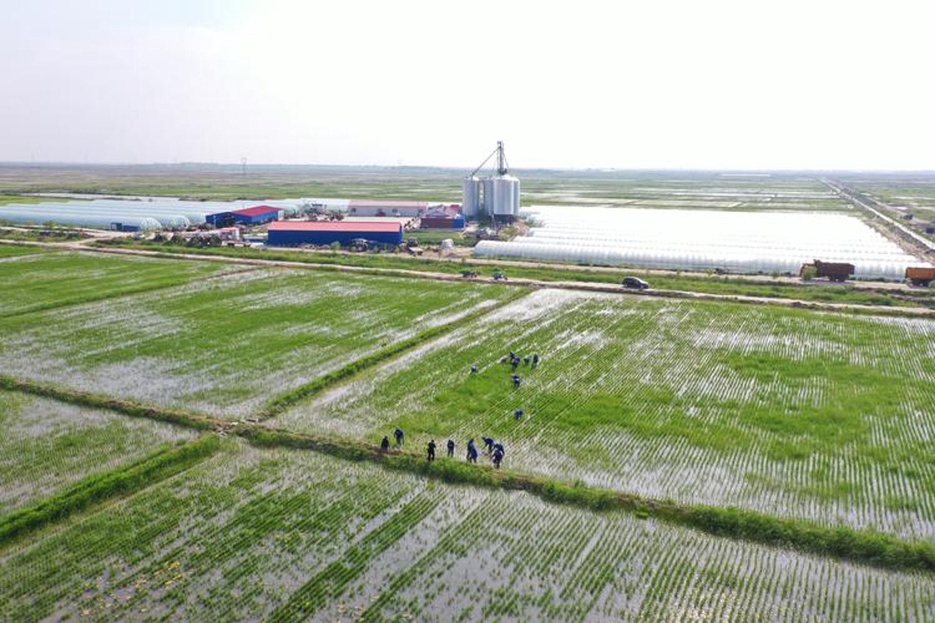 明珠圆农业